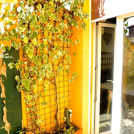 Terrazza Fiorita Flat شقة *